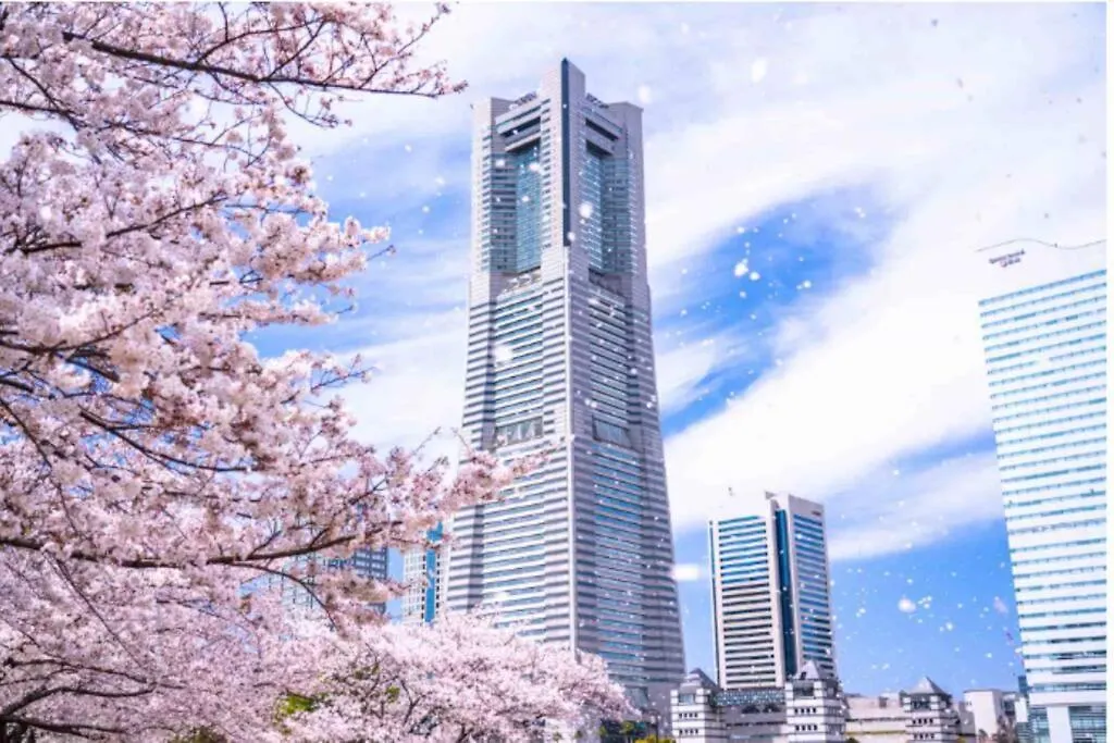 Discover Tokyo'S Soul Your Cozy Japanese Escape!