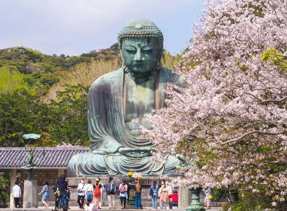 Discover Tokyo'S Soul Your Cozy Japanese Escape!